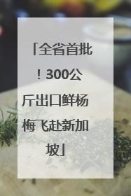 全省首批！300公斤出口鲜杨梅飞赴新加坡