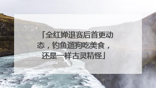 全红婵退赛后首更动态，钓鱼遛狗吃美食，还是一样古灵精怪