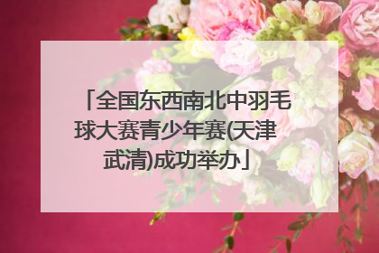 全国东西南北中羽毛球大赛青少年赛(天津武清)成功举办