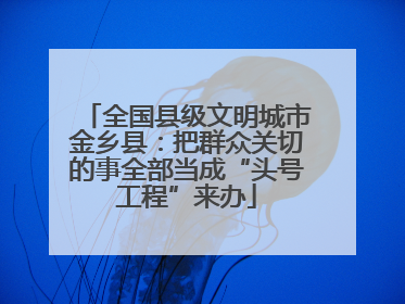 全国县级文明城市金乡县：把群众关切的事全部当成“头号工程”来办
