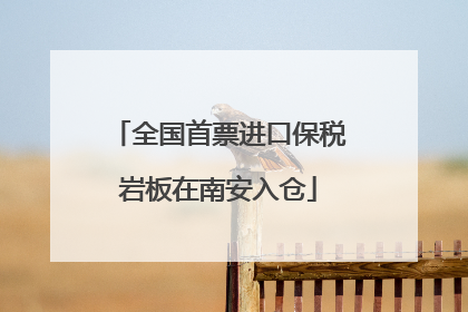 全国首票进口保税岩板在南安入仓