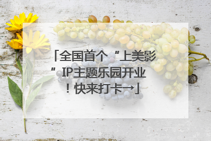全国首个“上美影”IP主题乐园开业！快来打卡→