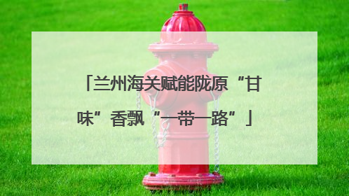 兰州海关赋能陇原“甘味”香飘“一带一路”