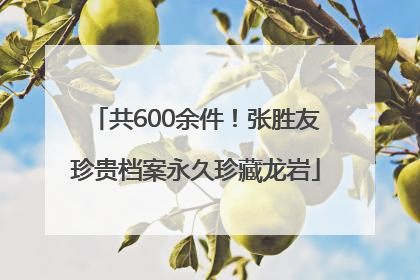 共600余件！张胜友珍贵档案永久珍藏龙岩