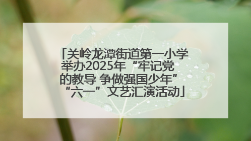 关岭龙潭街道第一小学举办2025年“牢记党的教导 争做强国少年”“六一”文艺汇演活动