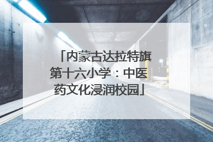 内蒙古达拉特旗第十六小学：中医药文化浸润校园
