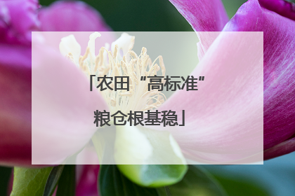 农田“高标准” 粮仓根基稳