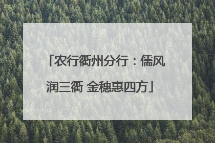 农行衢州分行：儒风润三衢 金穗惠四方