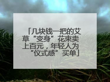 几块钱一把的艾草“变身”花束卖上百元，年轻人为“仪式感”买单