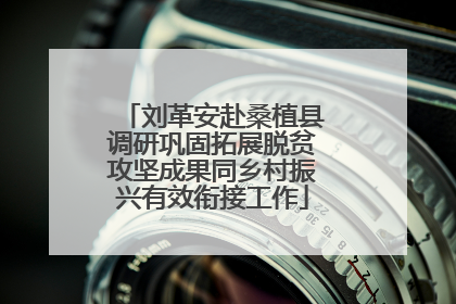 刘革安赴桑植县调研巩固拓展脱贫攻坚成果同乡村振兴有效衔接工作