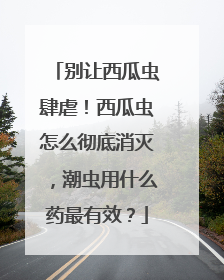 别让西瓜虫肆虐！西瓜虫怎么彻底消灭，潮虫用什么药最有效？