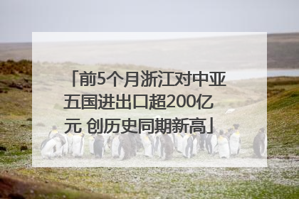 前5个月浙江对中亚五国进出口超200亿元 创历史同期新高