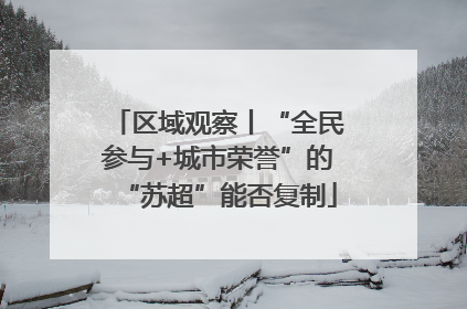 区域观察丨“全民参与+城市荣誉”的“苏超”能否复制