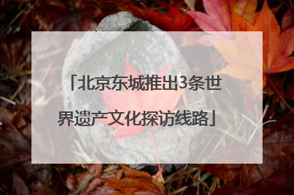 北京东城推出3条世界遗产文化探访线路