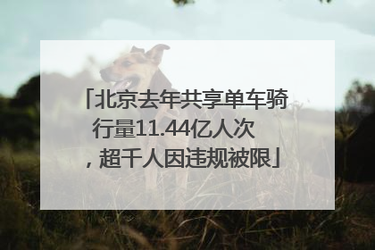 北京去年共享单车骑行量11.44亿人次，超千人因违规被限