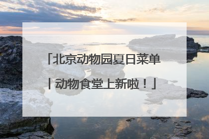 北京动物园夏日菜单丨动物食堂上新啦！