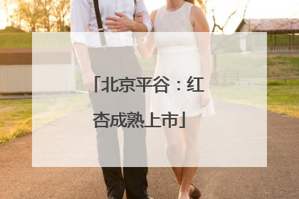 北京平谷：红杏成熟上市
