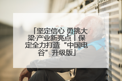 坚定信心 勇挑大梁·产业新亮点丨保定全力打造“中国电谷”升级版