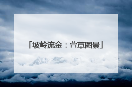 坡岭流金：萱草图景