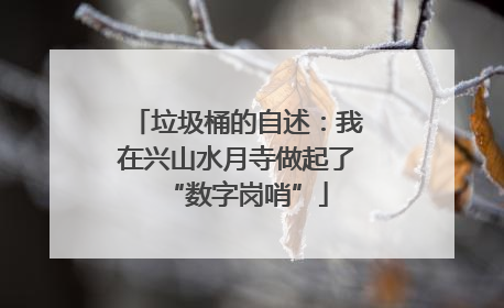 垃圾桶的自述：我在兴山水月寺做起了“数字岗哨”