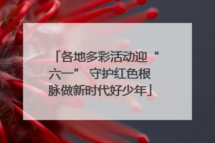 各地多彩活动迎“六一” 守护红色根脉做新时代好少年