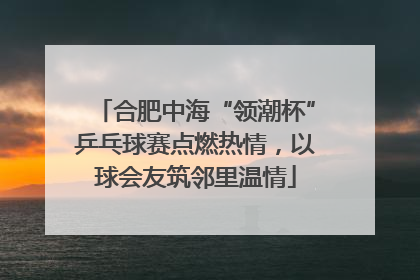 合肥中海“领潮杯”乒乓球赛点燃热情，以球会友筑邻里温情