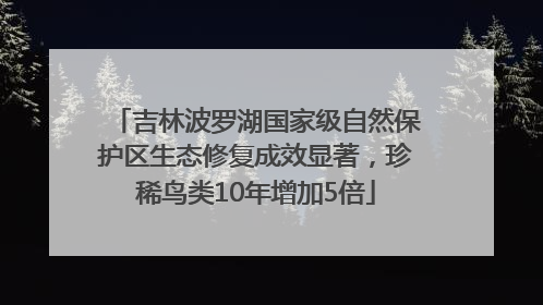 吉林波罗湖国家级自然保护区生态修复成效显著，珍稀鸟类10年增加5倍