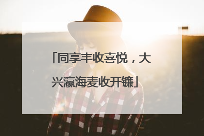 同享丰收喜悦，大兴瀛海麦收开镰
