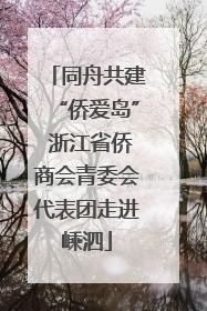 同舟共建“侨爱岛” 浙江省侨商会青委会代表团走进嵊泗