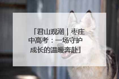 君山观潮｜枣庄中高考：一场守护成长的温暖奔赴