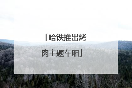 哈铁推出烤肉主题车厢