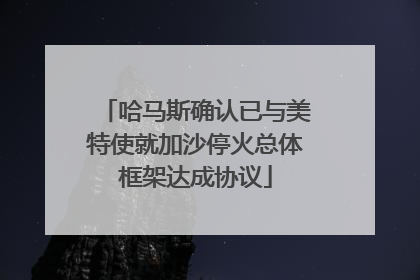 哈马斯确认已与美特使就加沙停火总体框架达成协议