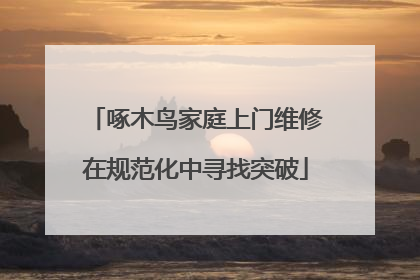 啄木鸟家庭上门维修在规范化中寻找突破