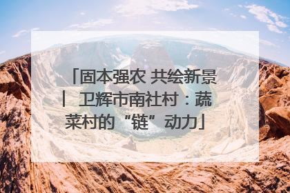 固本强农 共绘新景 ︳卫辉市南社村：蔬菜村的“链”动力
