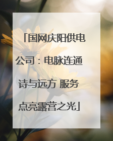 国网庆阳供电公司：电脉连通诗与远方 服务点亮露营之光