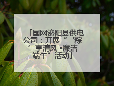 国网泌阳县供电公司：开展“‘粽’享清风 •廉洁端午”活动