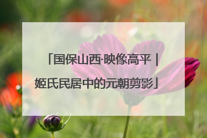 国保山西·映像高平｜姬氏民居中的元朝剪影