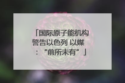 国际原子能机构警告以色列 以媒：“前所未有”