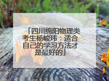 四川绵阳物理类考生杨峻玮：适合自己的学习方法才是最好的