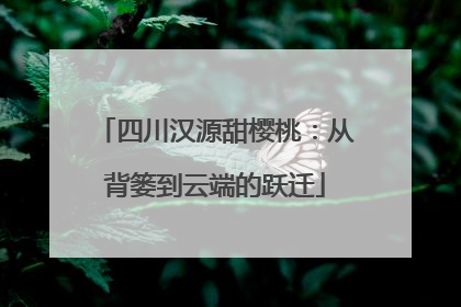 四川汉源甜樱桃：从背篓到云端的跃迁