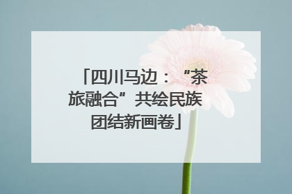 四川马边：“茶旅融合”共绘民族团结新画卷