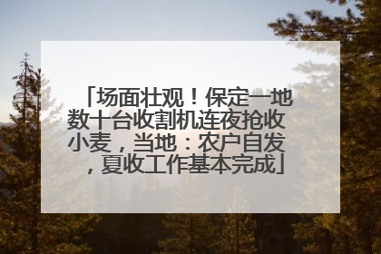 场面壮观！保定一地数十台收割机连夜抢收小麦，当地：农户自发，夏收工作基本完成