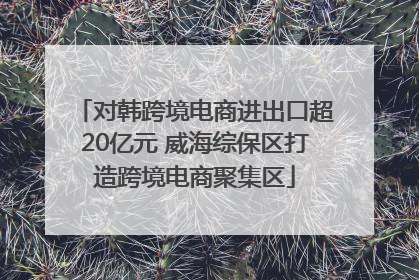 对韩跨境电商进出口超20亿元 威海综保区打造跨境电商聚集区
