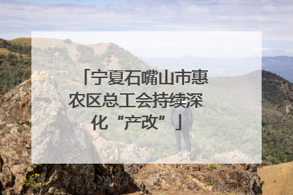 宁夏石嘴山市惠农区总工会持续深化“产改”