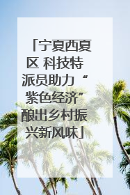 宁夏西夏区 科技特派员助力“紫色经济”酿出乡村振兴新风味