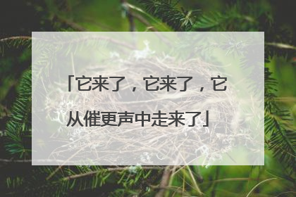 它来了，它来了，它从催更声中走来了