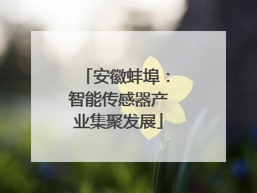 安徽蚌埠：智能传感器产业集聚发展