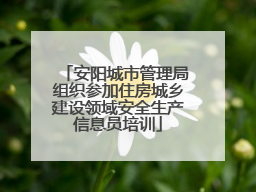 安阳城市管理局组织参加住房城乡建设领域安全生产信息员培训