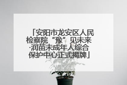 安阳市龙安区人民检察院“豫”见未来·润苗未成年人综合保护中心正式揭牌