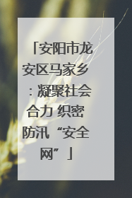 安阳市龙安区马家乡：凝聚社会合力 织密防汛“安全网”